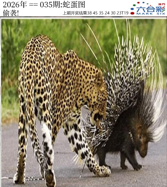 035期正版蛇蛋图[图]