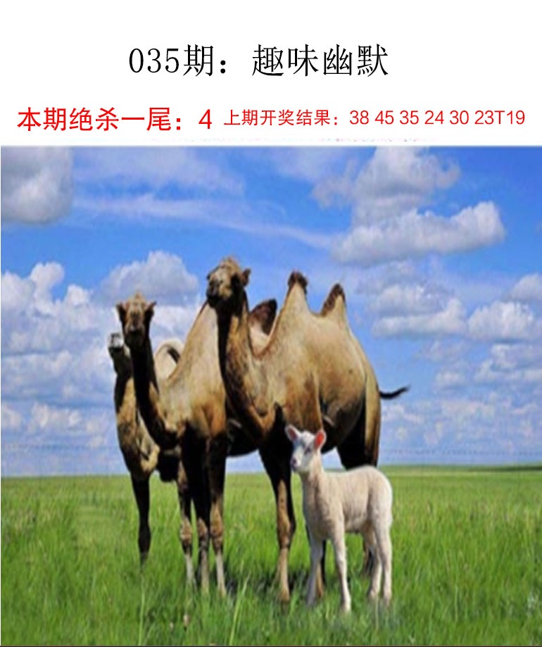 035期趣味幽默[图]