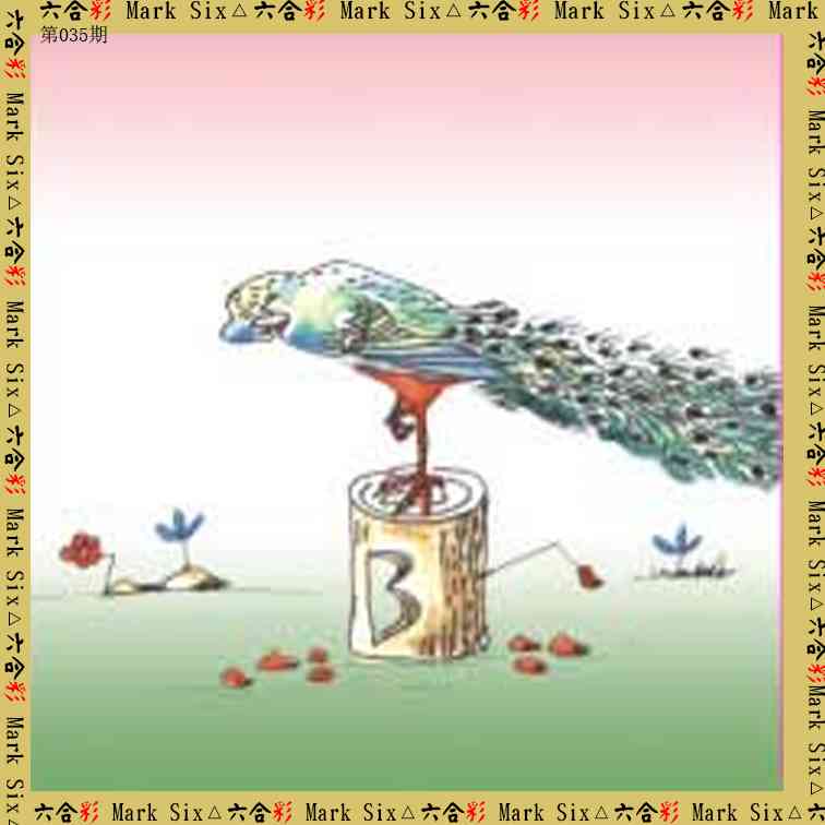 035期藏宝图[图]