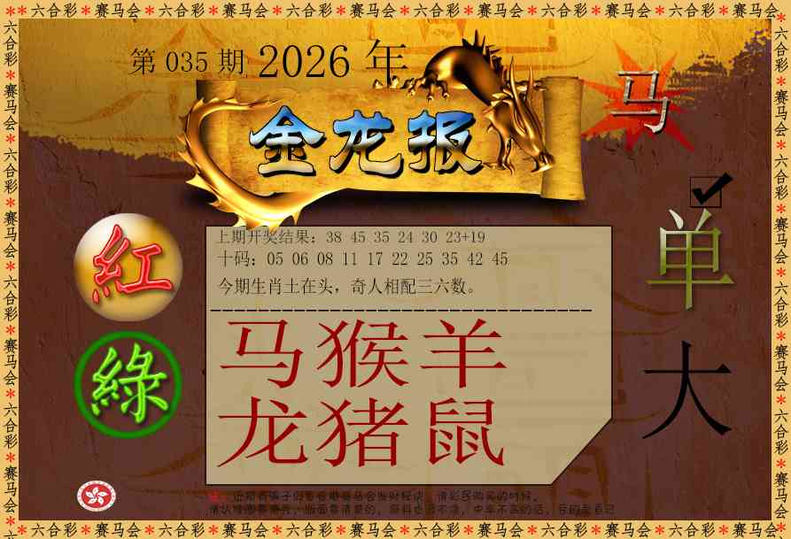 035期金龙报[图]