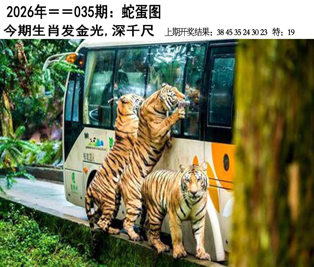 035期另版蛇蛋图[图]