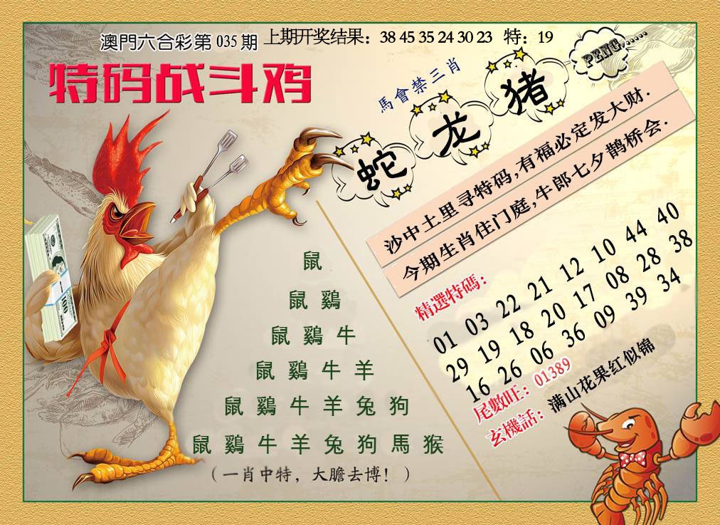 035期特码战斗机[图]