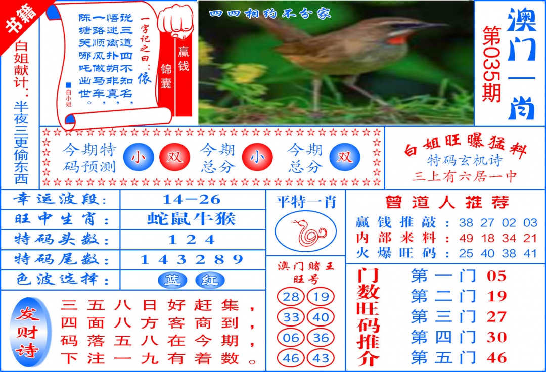 035期澳门东北虎[图]