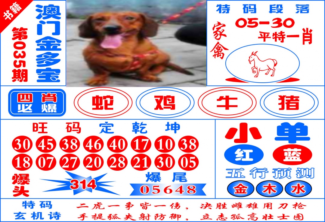 035期澳门金元宝[图]