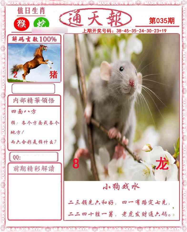 035期正版通天报[图]