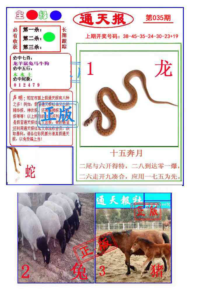 035期通天杀波图1[图]