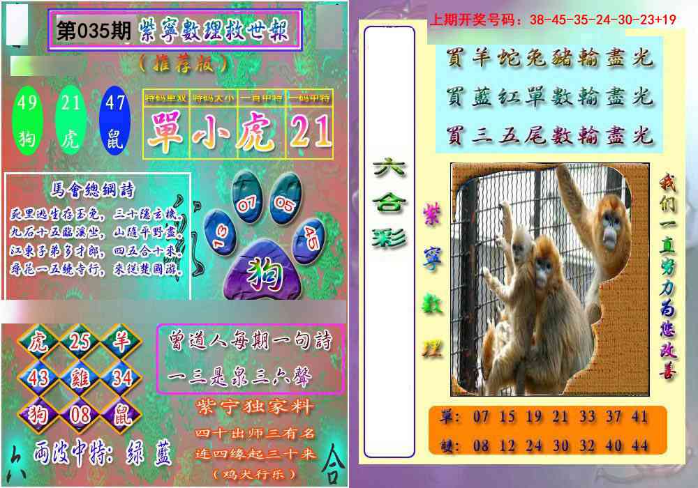 035期数理救世报[图]