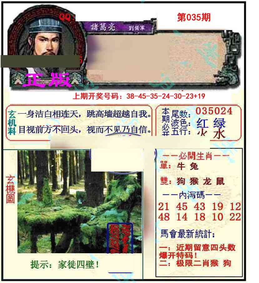 035期正宗孔明[图]