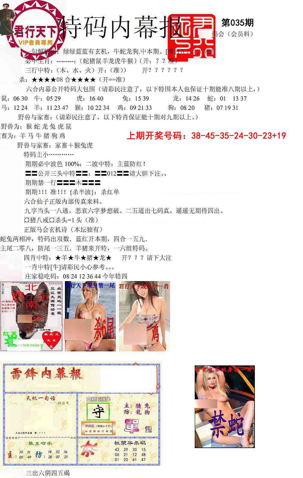 035期特码内幕报[图]