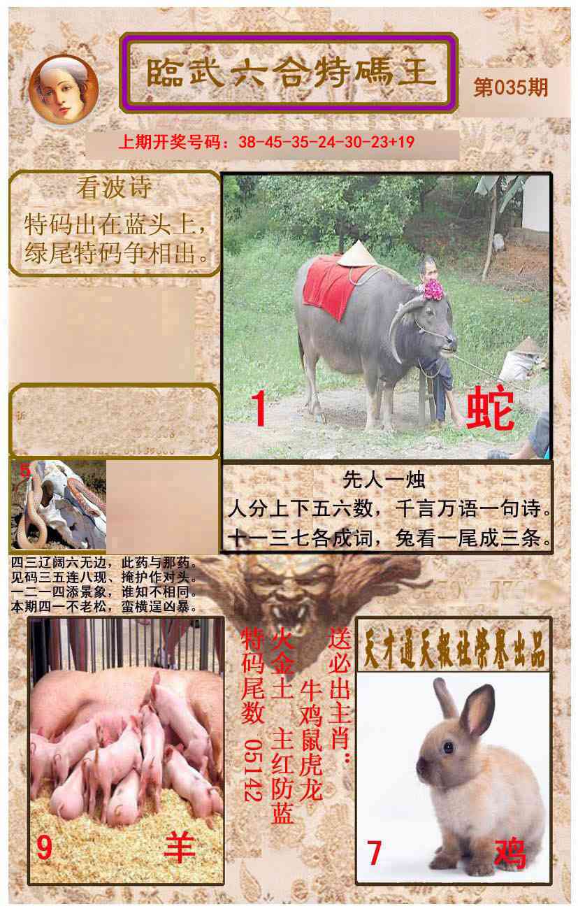 035期临武六合特码王[图]