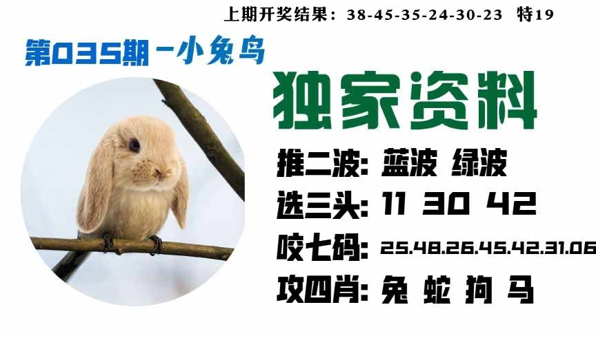 035期小兔鸟[图]