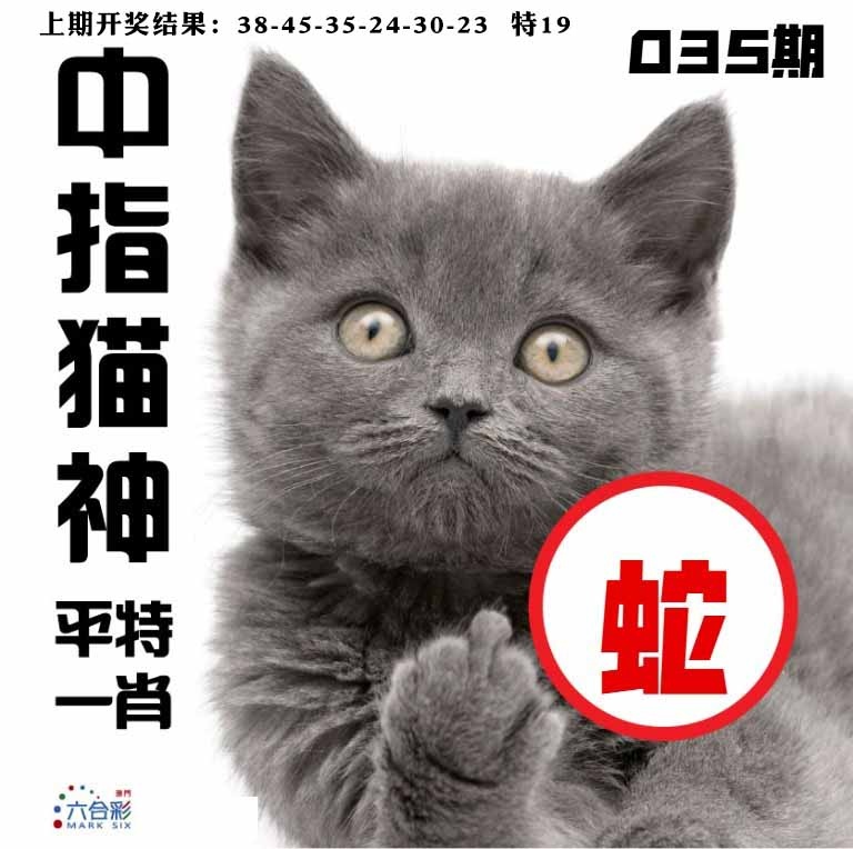035期中指猫神[图]